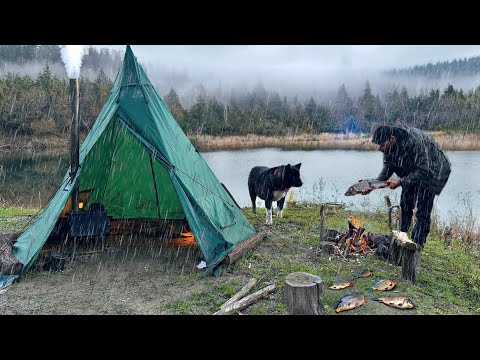7 DAYS solo survival; Caught in a STORM with My Dog. Catch and Cook, Fish. BUSHCRAFT CAMPING