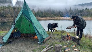 7 DAYS solo survival; Caught in a STORM with My Dog. Catch and Cook, Fish. BUSHCRAFT CAMPING