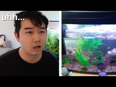 is my filter too strong? | Fish Tank Review 286