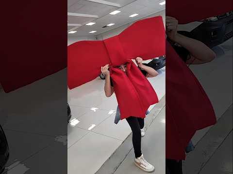 ELA QUER O LAÇO DO CARRO! #shorts #fy #fypシ゚viral #shortsviral #shortsvideo #fun #funny