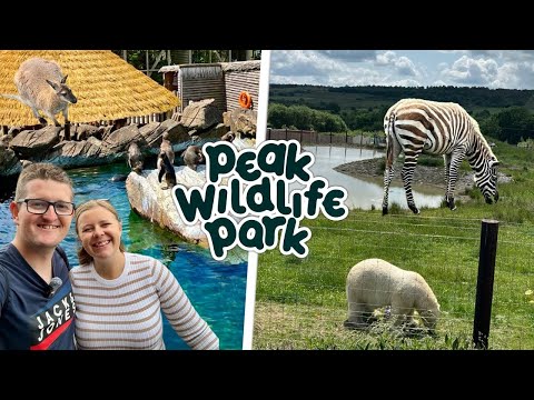 Peak Wildlife Park Vlog 2025 - FULL Tour & Review!
