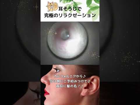 カリフォルニアからのご来店♪当日朝にご予約みつけて♪「両記念髪の毛?!」・・・eariss