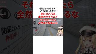 星川サラのヤバすぎる雑学 #にじさんじ