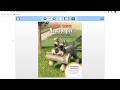 The Dog Newspaper Insights
