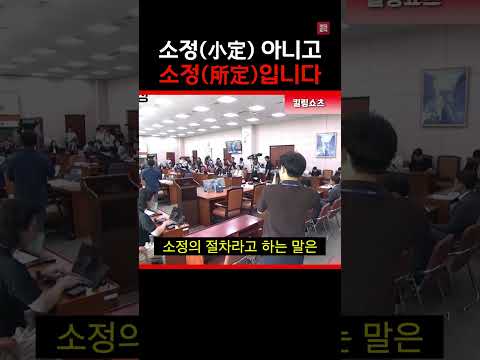 배현진의 충격 어휘력
