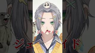 思い出の中で年々デカくなる生物、猫。#shorts