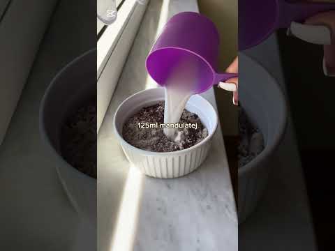 2 perces bögrés protein brownie 🍫 287 kcal | 23 g fehérje | gyors & finom #abso #mentes #recept