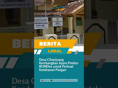 Desa Cihanjuang Kembangkan Ayam Petelur BUMDes untuk Perkuat Ketahanan Pangan