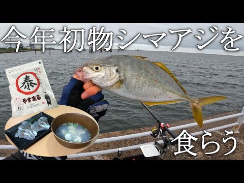 【茨城】今年はシマアジBIG!?四国で人気のだしを使ってみた