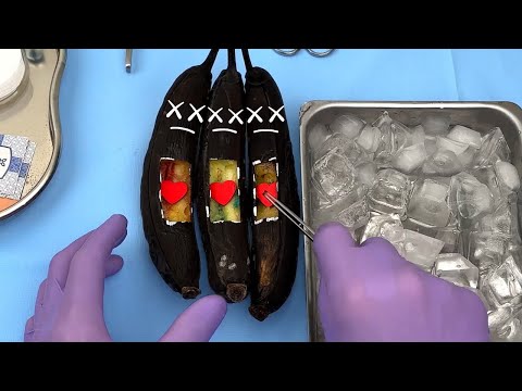 Unlocking the mysteries of food: Entertaining animations and comedic sketches!