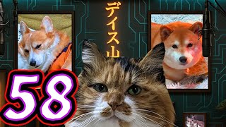 ディス子の部屋 第58回『色々一新しましょう。』