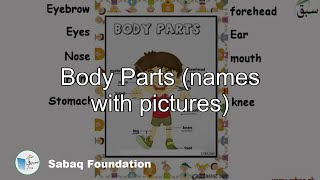 Body Parts (names with pictures)