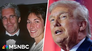 'Weaponizing government': Dem lawmaker slams Trump admin's handling of Epstein files