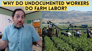 Why Is So Much Farm Labor Done by Undocumented Migrants? (Illegal Immigrants)