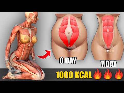 No Squat,  No Jumping ( Standing Only ) Workout | Fit To Seniors, Beginners, Overweight Body