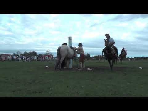 Jineteadas de Caballos Clina Limpia Curuzú Cuatiá 5/5/24