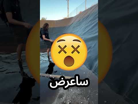 هذا المغامر ضحى بحياته من اجل ارنب لطيف! ?