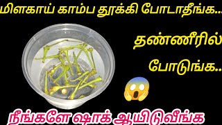 அட இவ்வளவு நாளா இது தெரியாம போச்சே!!!!#toiletcleaningtips#kitchentips #tips#cleaningtips#tipsintamil