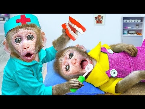 Monkey baby Shark 🤣 Best Compilation | Monkey Baby Show
 #monkeybaby #monkeybabyshark