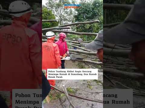 Pohon Tumbang Akibat Angin Kencang Rusak Dua Rumah di Sumedang #beritaterkini