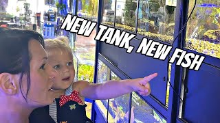Set Up, Aquascape and Buying Fish For New 125 Gallon Aquarium