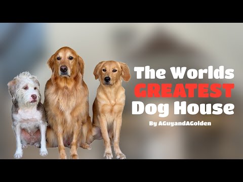 Building The Worlds FANCIEST Doghouse!