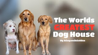 Building The Worlds FANCIEST Doghouse!