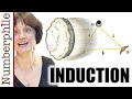 Understanding Induction and Its Applications