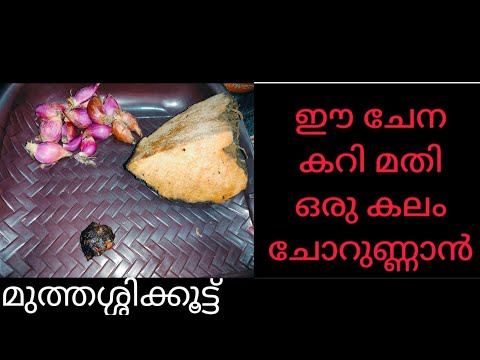 മുത്തശ്ശിയുടെ രുചികളിൽ ഏറെ പ്രീയപ്പെട്ട കറി| Chena Ozhichu Curry  Malayalam| Kerala Style Yam  Curry