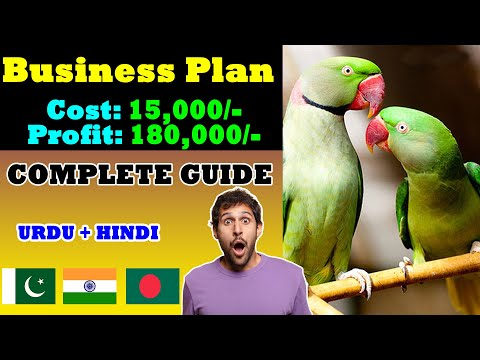 Alexandrine Raw Parrot Business Idea | Full Feasibility of Cost, Profit, Diet, Breeding & Marketing