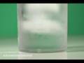 Kookkuns Video Vasvra