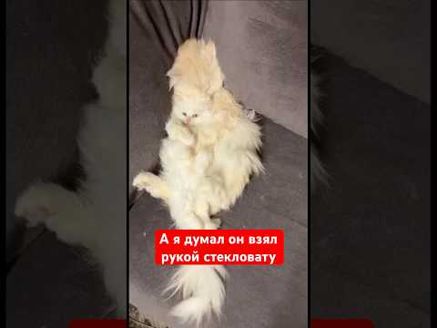 Мама даже не проснулась, а я думал он взял рукой стекловату