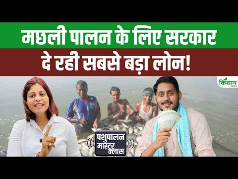 मछली पालन लोन योजना | Fish Farming Loan Scheme | l PMMSY Loan Scheme |आवेदन शुरू जल्दी अप्लाई करें