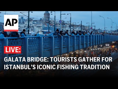 Galata Bridge LIVE: Tourists gather for Istanbul’s iconic fishing tradition