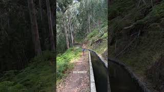 Wandelen op Madeira