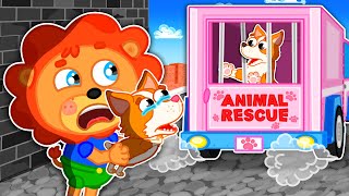 Lion Family | Mom, Where Are You Going Help Puppy to Find Mom | Cartoon for Kids