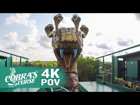 Cobra's Curse 4K POV | Busch Gardens Tampa Bay