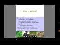 Understanding Plants
