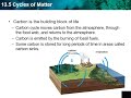Biogeochemical Cycles and Processes
