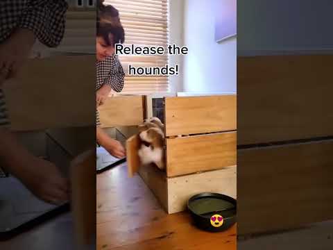 Wow so many of joy 😍😍😍