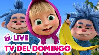 🔴 LIVE ⭐ Masha y el Oso 2026 🍿☀️TV del Domingo 🎬 Dibujos Animados en español