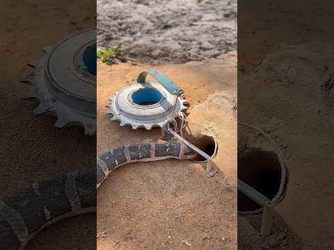 DIY Snake Trap using Bicycle chain with wood#creativesnaketrap #handtrap #amazingtrap