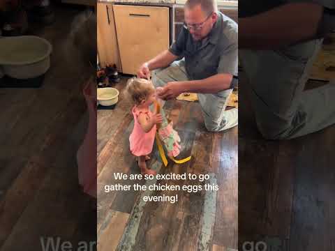 We are so excited to go gather the chicken eggs this evening! 😋 babies view 🐣 #babiesview