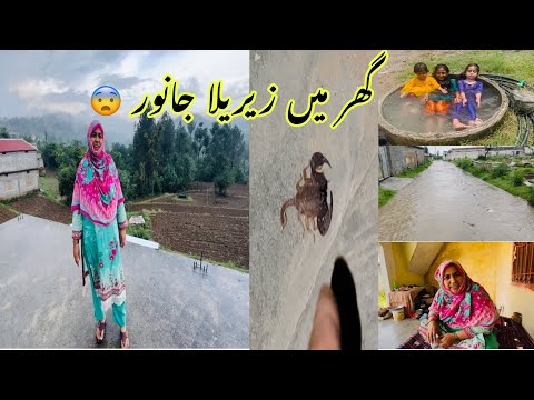 Ghar mein zahreela janwar shukar hai nazar a Gaya barish Ka tufan road Pani se Bhar Gaye