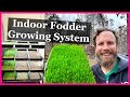 Fodder Growth and Nutrition Concepts