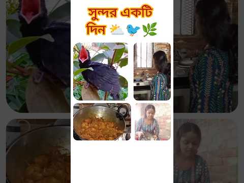 সুন্দর একটি দিন ⛅🐦🌿 #vlog #minivlog #dailyvlog #shorts #shortvideo #subscribe #foryou #foryoupage