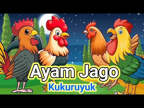 Lagu Anak 🇮🇩 Kuku Kukuruyuk, Lagu Ayam Jago,  Pok Ame Ame Cilukba, Suka Hati - Lagu Anak Indonesia