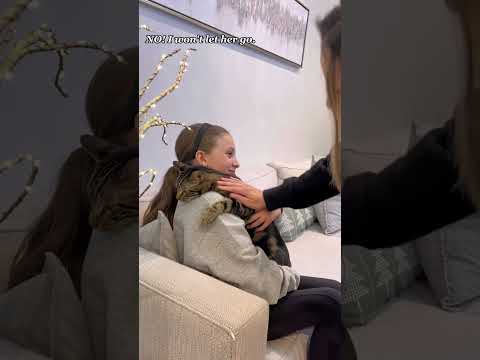 Phillies land All-Star closer Jhoan Duran ahead of MLB trade deadline ππ₯