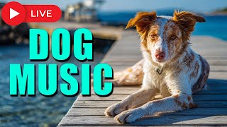 Relaxation Experience for Dogs - Relax My Dog Stress and Anxiety Tool for Dogs