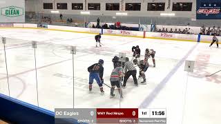 6/12/26 DC Eagles vs. WNY Red Ninjas